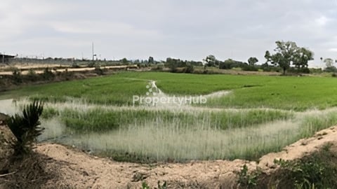 Land for sale ដីលក់