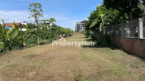 ដីមានប្លង់រឹង