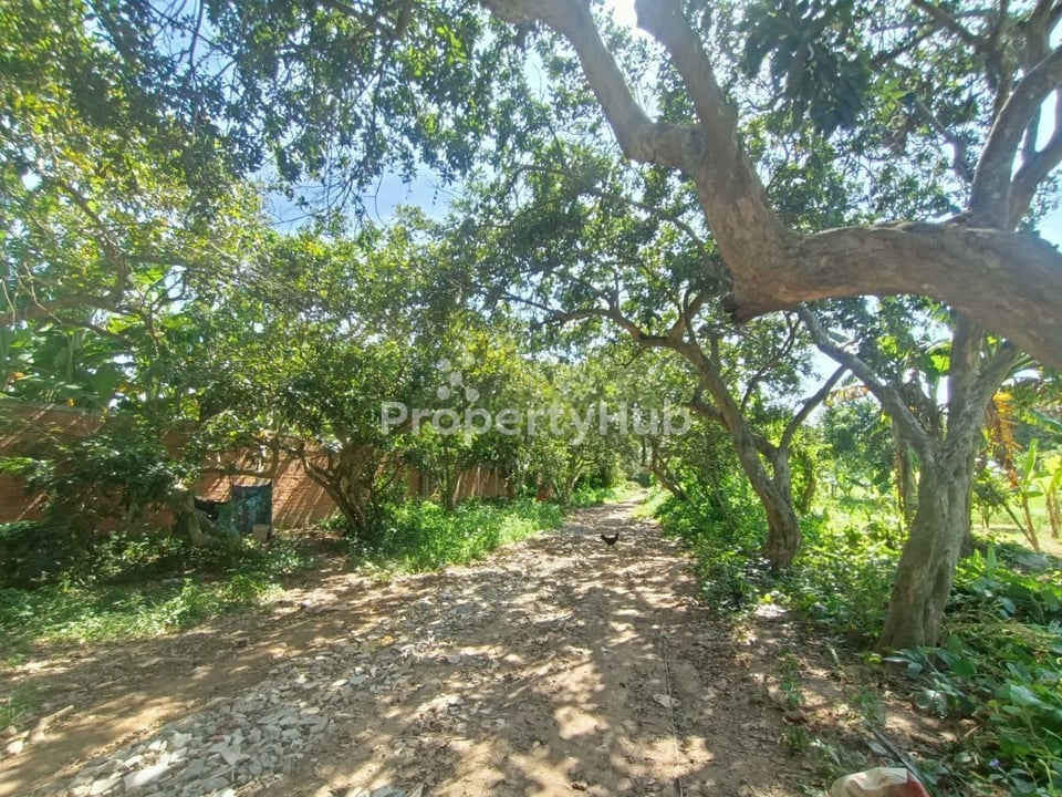 Property 4
