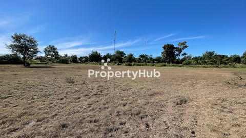 ដី​​លក់​