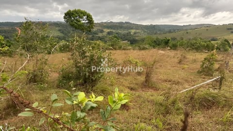 ដីសំរាប់លក់នៅដាក់ដាំ