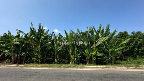 ដីលក់ជាប់ទន្លេរ  17m x 127m