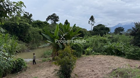 លក់ដីចំការ ប្រភេទដីក្រហម ទំហំ ៣​ ហិចតា 23000$: 095 999 159