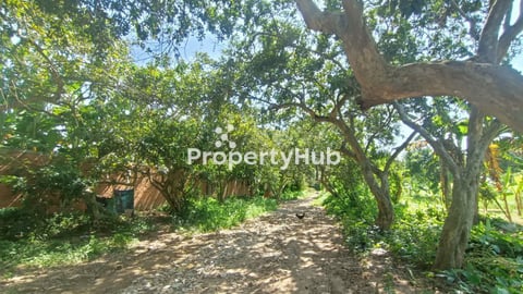 Land for Sale 661 sqm at Koh Anglong Chen