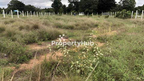 ដីលក់ប្រញាប់ក្រុងឧត្តុង្គ