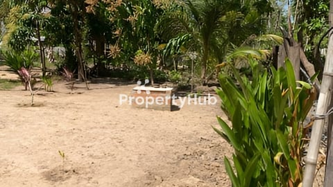 ដីនិងផ្ទះភូមិចាស់