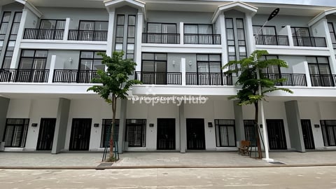 វីឡាកូនកាត់ LV លក់បន្ទាន់ខ្លាំង