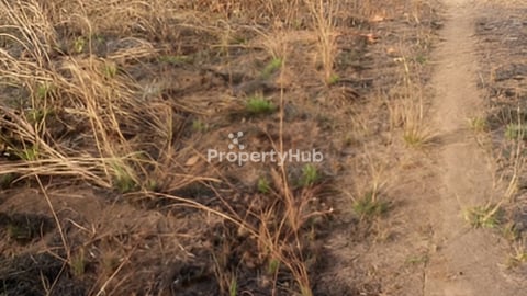 ដីចម្ការលក់