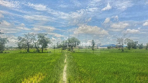 and for sale along 16m wide road, near Borey New World Kou Srov 3