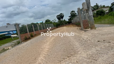 ដីលក់កែង​ អាជីវកម្ម