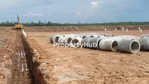 ដីឡូ​ច្រកអន្តរជាតិបាវិត