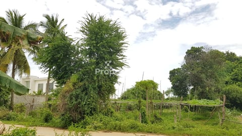 ដីជាប់ទន្លេរលក់បន្ទាន់នៅឃ្លាំងមឿង 16m x80m