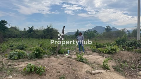 ដី 63ម ជាប់ផ្លូវជាតិ 44 ទៅខ្នងផ្សារ