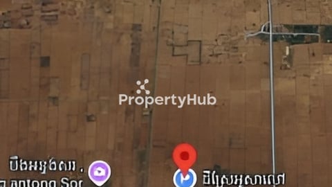 ដីលក់អាចធ្វើស្រែបានគ្រប់រដូរ