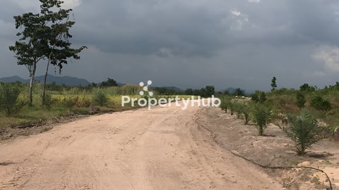 ដីចំការ 16 ហិតតា​លក់បន្ទាន់