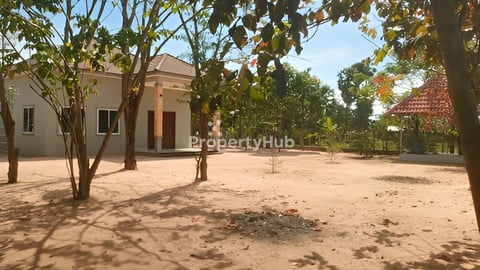 ប្លង់រឹង