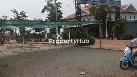 🌿ដីលក់ប្រញាប់ខ្លាំង 25m x 35m ជាប់ផ្លូវហាយវេ (ផ្លូវជាតិលេខ 66)​ងាយស្រួលរកស៊ី លក់តែ $30000 ចរចារ