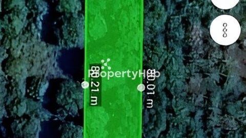 ដីទំហំ: 13m x 80m (ស្ថិតក្នុងក្រុងអរិយក្សត្រ)