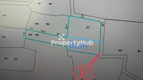 ដីលក់បន្ទាន់