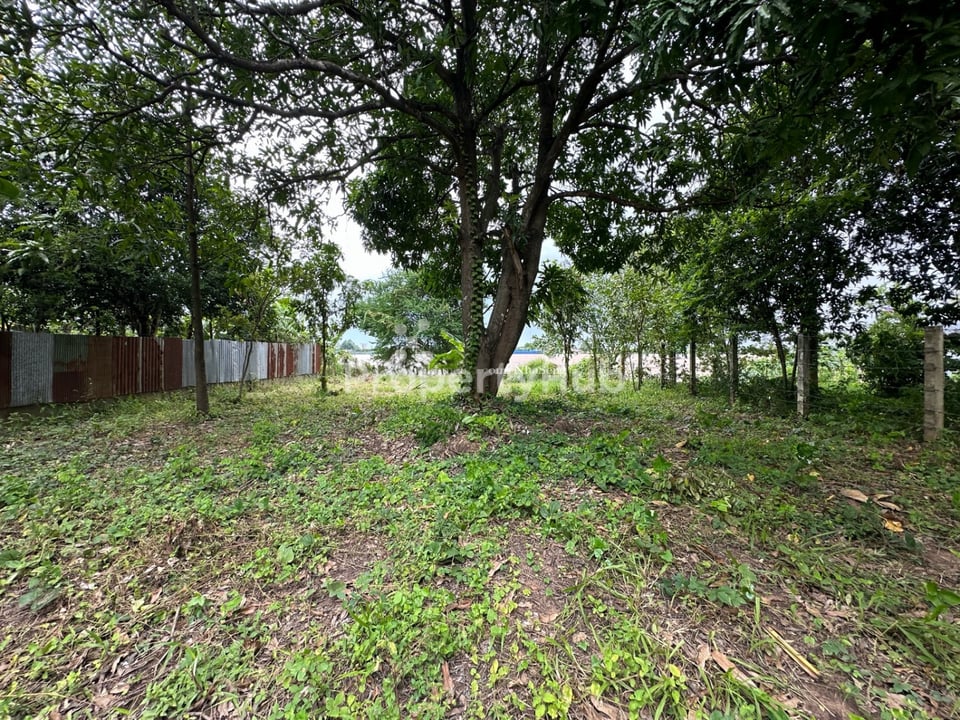 Property 4