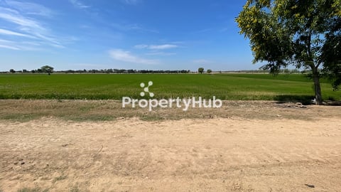Commercial Land for Sale (P002)