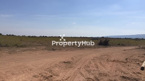 ដីចំការ៥៧ហិតា2,600$/Ha​ (ចំណូលពីការជួល៥,០០០$ក្នុង១ឆ្នាំ)