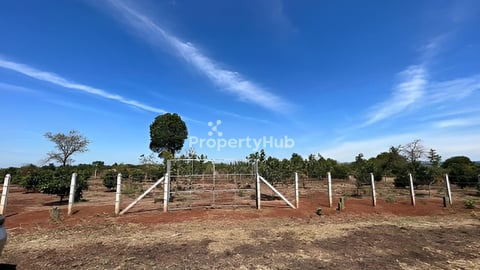 30mx25m出售地腊塔纳基里省 Land in Banlung city, Ratanakiri