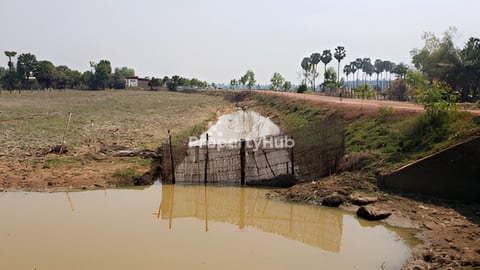 ដីលក់ពីម្ចាស់ផ្ទាល់