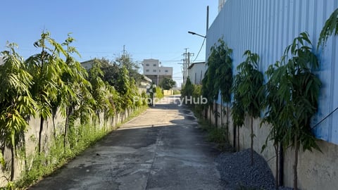 ដីលក់នៅក្រោយផ្សារបឹងបៃតង