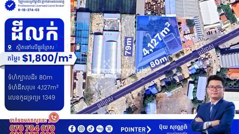 ដីលក់នៅលើផ្លូវព្រៃស