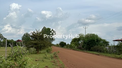 ដីលក់បន្ទាន់