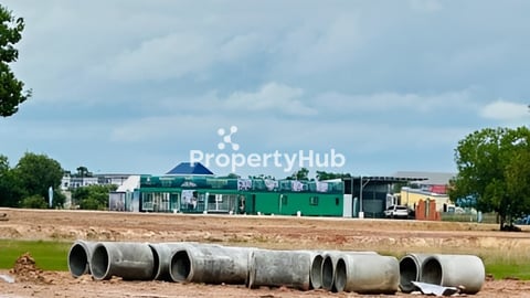 ដីឡូ​ច្រកអន្តជាតិក្រុងបាវិត