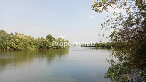 ដីជាប់ព្រែកធំកំពត