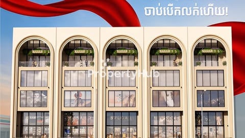 អគារពាណិជ្ជកម្មលើផ្លូវធំនៅកោះនរា