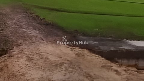 លក់បន្ទាន់ នៅជិតផ្សារ