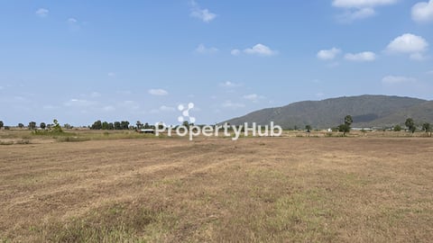 ដី3.5ហិចតាជួល១ឆ្នាំតែ 1000$