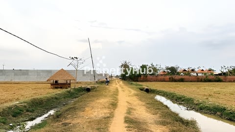 ដីលក់​ ផ្លូវទី2​ បេតុង​តាវឿន​