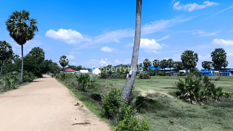 ដីលក់បន្ទាន់ ជិតភ្នំបាសិត 1800ម² ជាប់ផែរស្ងួត