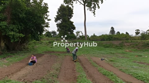 Family Land Resort (100KM from PP) for Sale​ (Special Price)