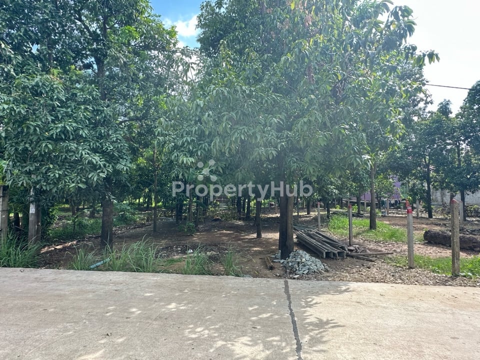 Property 3