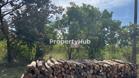 ដីចំការស្វាយ ឈូក កំពត 土地出售，贡布省