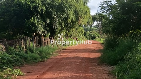 ដីលក់បន្ទាន់តម្លៃក្រាផ្សារ