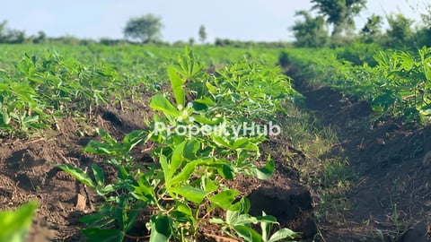 ដីនៅកុំពង់ថ្ម (ជិតមន្ទីឃុំគគីធំ)ផ្លវកៅស៊ូតម្លៃ១ម៉ែតដើ.1450$.ក្បាលដី.60×100ម៉ែត