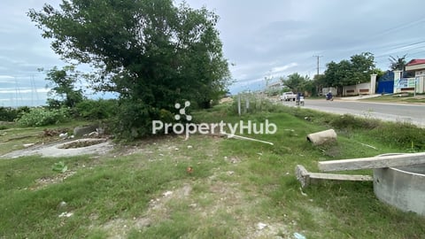 ដីលក់ ឬជួលជាប់ផ្លូវបេតុង៤២