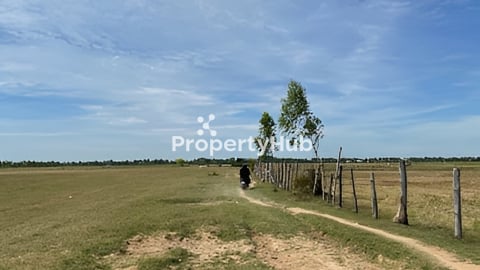Land in Pouk siemreap 5000+ m2