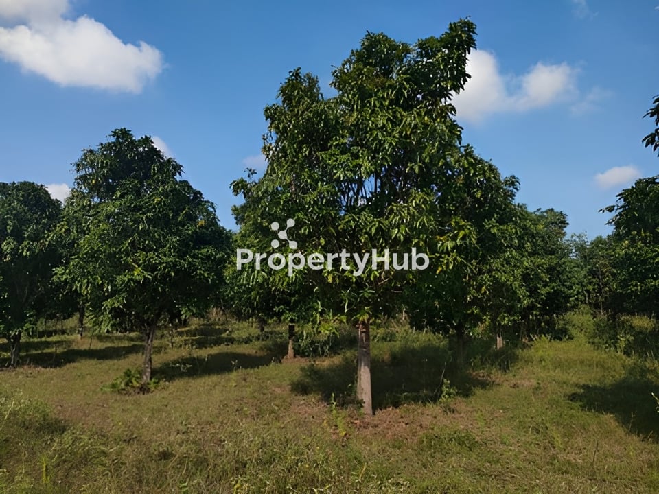 Property 4