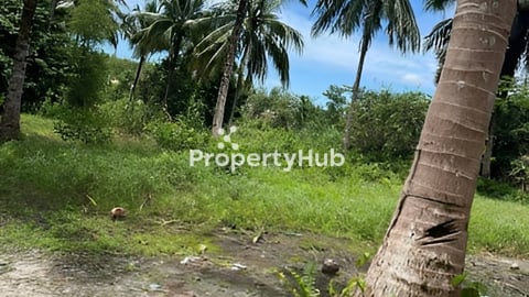 ដីលក់បន្ទាន់ម្ចាស់ផ្ទាល់