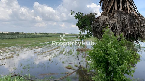 ដីលក់ទំហំ: ជាង 7ហិចតា (ក្នុងក្រុងអរិយក្សត្រ)