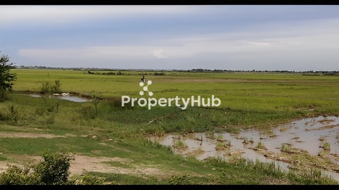 ដីសម្រាប់លក់