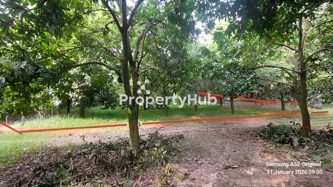 ដីលក់នៅក្រុងអរិយក្សត្រ (ម្ចាស់ផ្ទាល់)